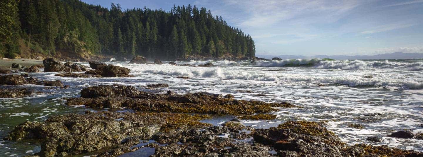 Western Educational Adventures Welcome