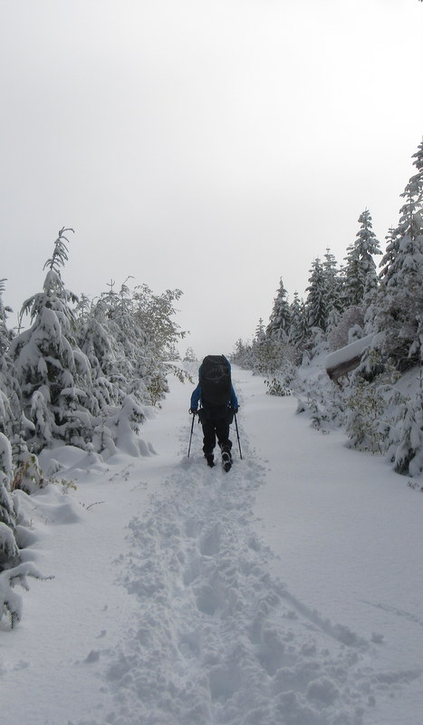 snoshoe in the backcountry of vancouver island
