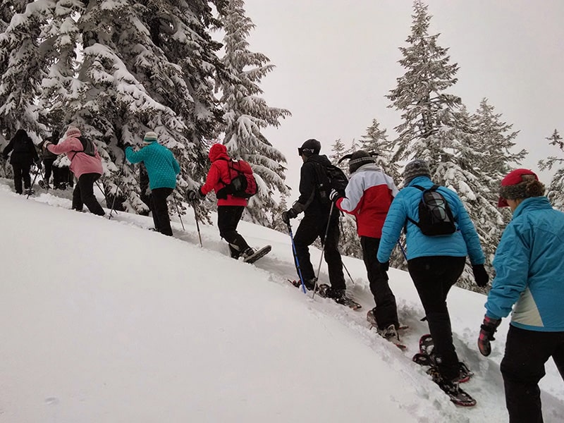 Group snowshoe tour forbidden plateau bc