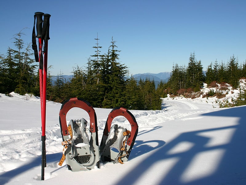 Snowshoes in Snow