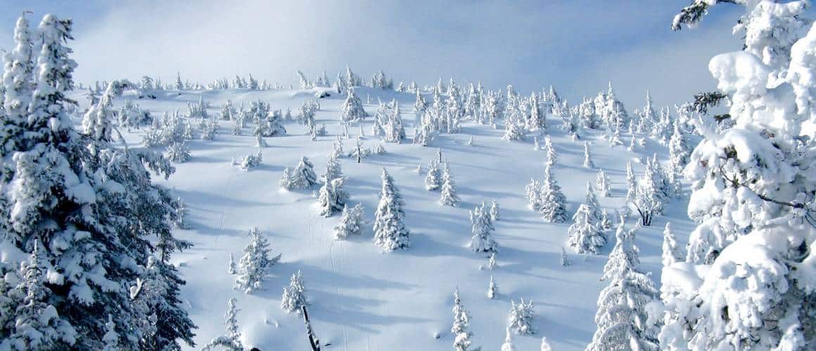 Mount Cain ski experience