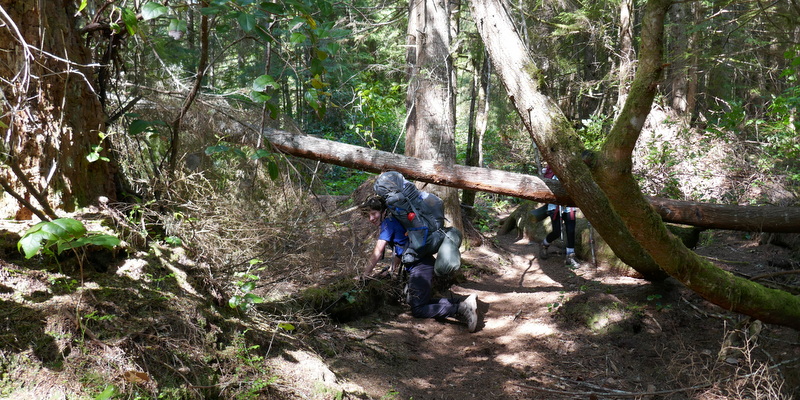 scrambling in the forest on a hike
