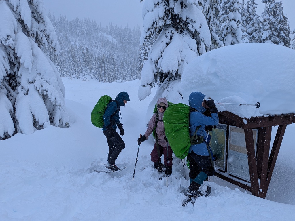 snowshoeing program through snow