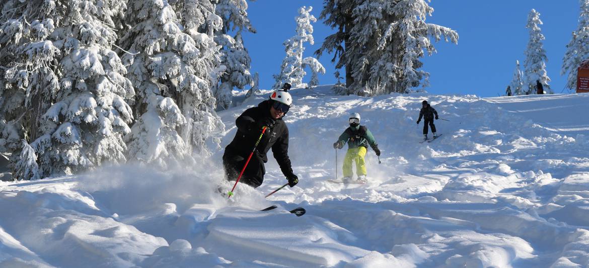Mount Cain powder ski lessons